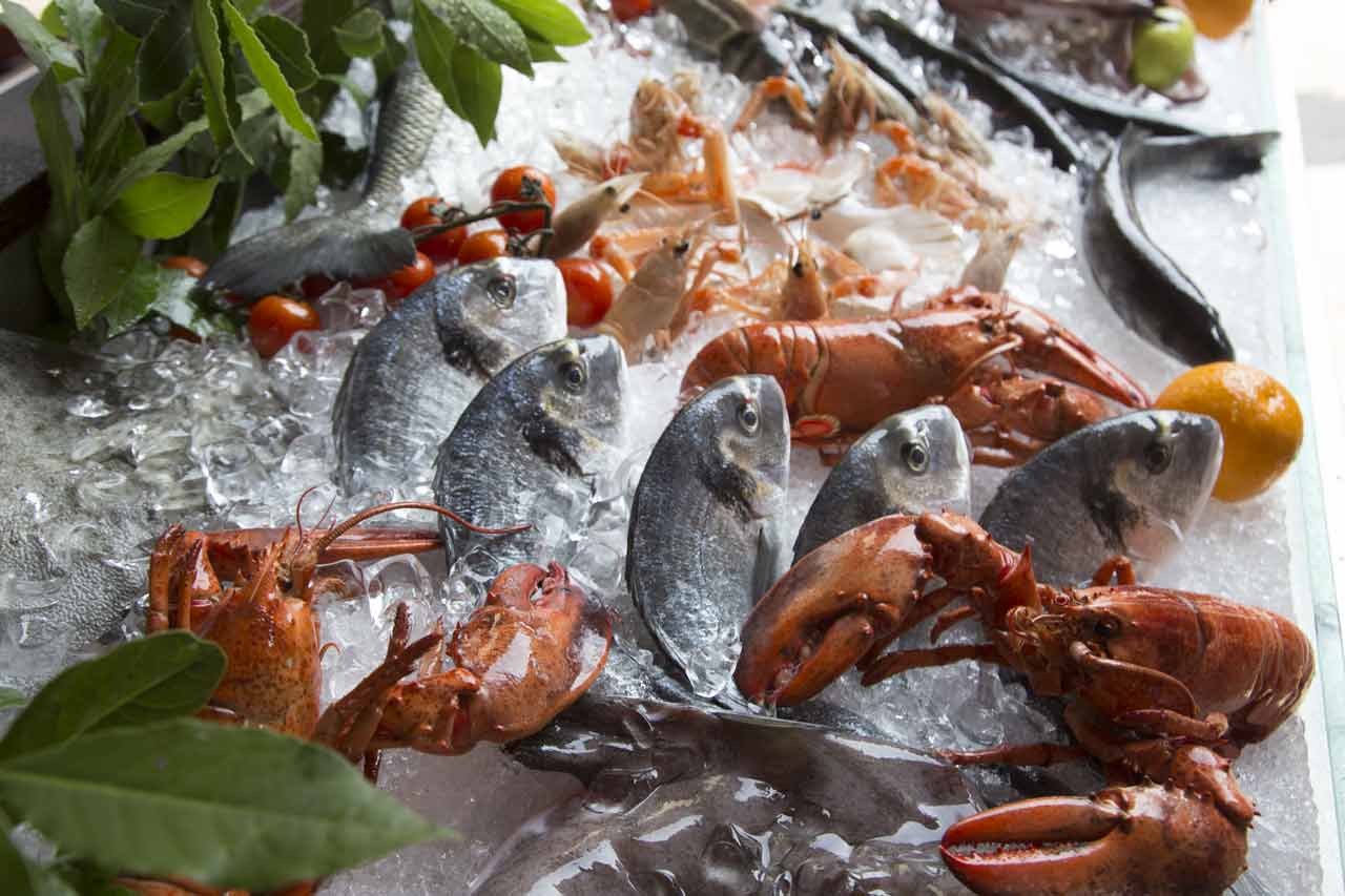 Fresh Adriatic seafood on ice